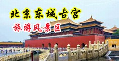 骚货欠插中国北京-东城古宫旅游风景区